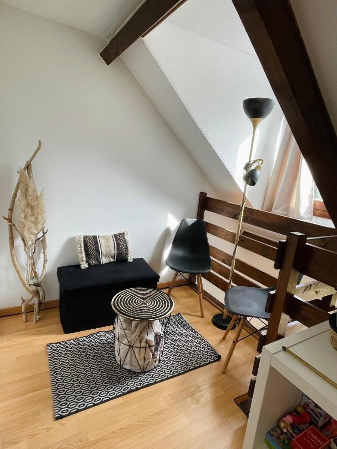 Duplex Du Pailhet, T3 Neuf, Vue Montagne, Parking, Navette Et 2 Velos A Disposition Gratuitement Bagnères-de-Luchon Extérieur photo